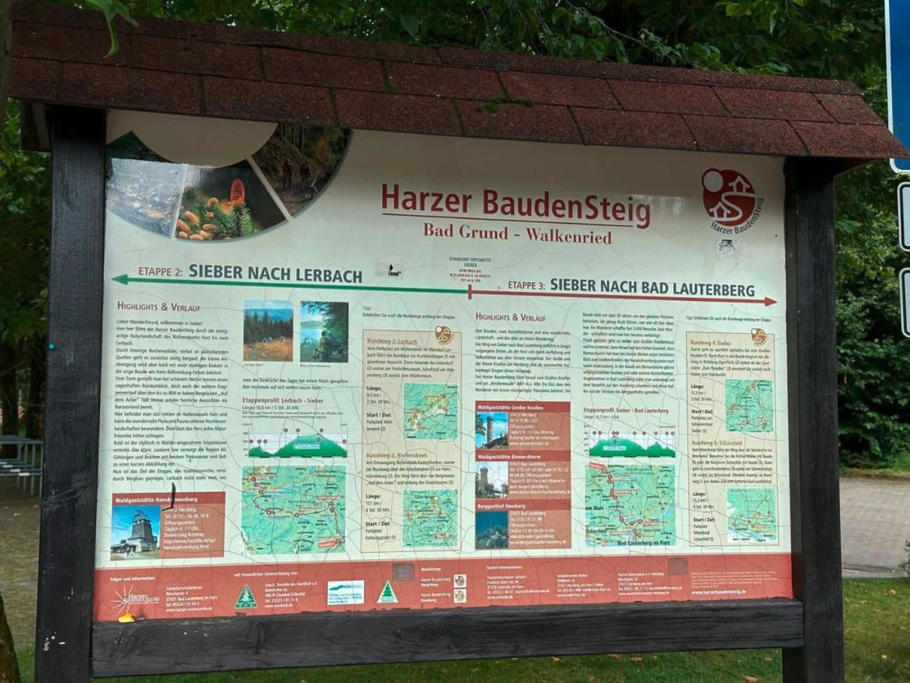 Ferienbutzen Harz Heikenberg, Bad Lauterberg Mit Schwimmbad Und Sauna Exteriör bild
